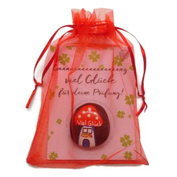 Glücksstein mit Pilz in einem Organzabeutel